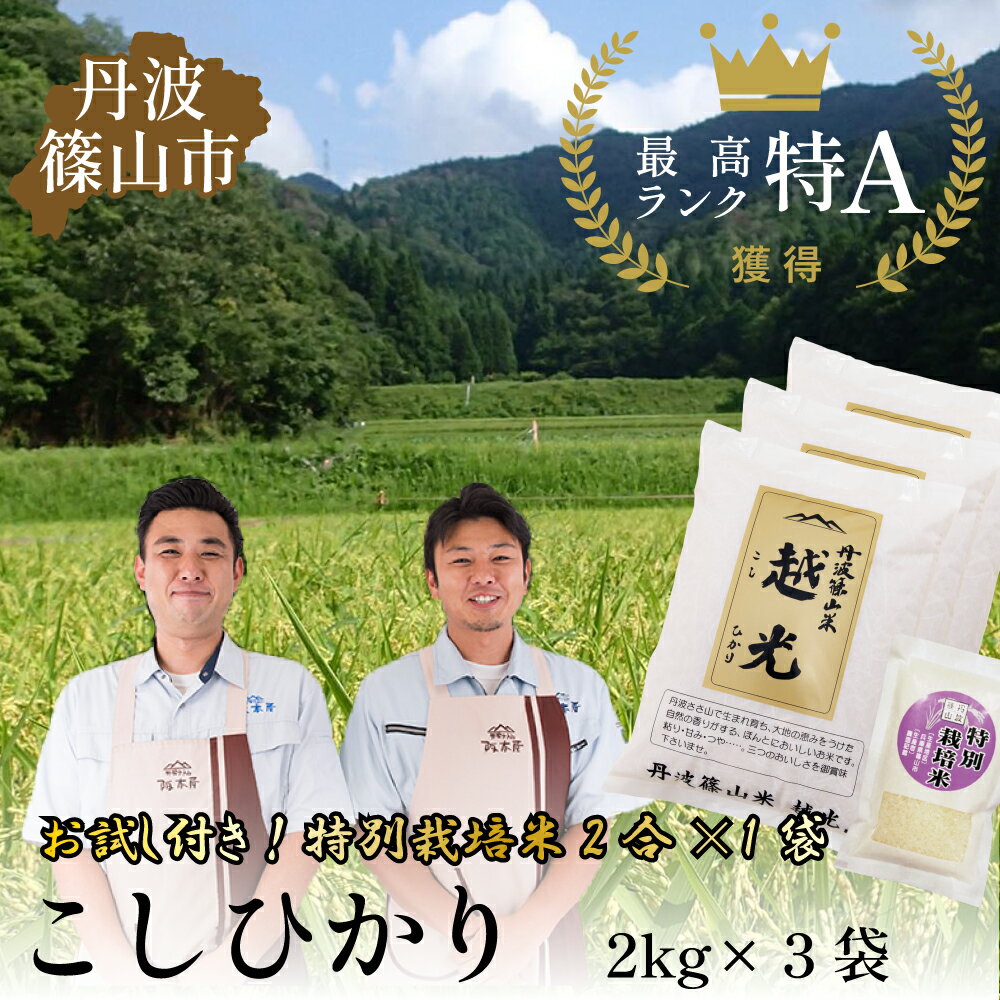 【ふるさと納税】令和5年産　　！　丹波篠山産 特Aランク 越 光 （2kg×3袋） | 丹波篠山 お米 おこめ ブランド米 ごはん ご飯 白米 米 コメ こめ 精米 精白米 ライス おいしい米 美味しいお米 兵庫県 お取り寄せ こしひかり コシヒカリのサムネイル