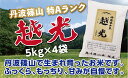 【ふるさと納税】【毎月数量限定】令和6年産 丹波篠山産 特Aランク 越 光 (5kg×4袋) | 丹波篠山 お米 おこめ ブランド米 ごはん ご飯 白米 米 コ...