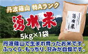 【ふるさと納税】令和6年産 丹波篠山産 特Aランク 湧水米(わきみずまい)5kg×1袋 | 丹波篠山 お米 おこめ ブランド米 ごはん ご飯 白米 米 コメ こ...