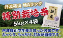【ふるさと納税】【令和7年産 2025年9月以降、順次発送】 丹波篠山産 特Aランク 特別栽培米 越光(5kg×4袋) | 丹波篠山 お米 おこめ ブランド米 ごはん ご飯 白米 米 コメ こめ 精米 精白米 ライス おいしい米 美味しいお米 兵庫県 お取り寄せ こしひかり コシヒカリ