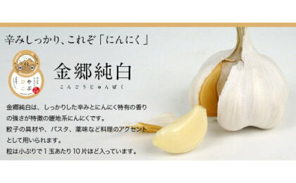 やぶひこ(金郷純白)