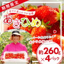 【ふるさと納税】「内山いちごの国」のいちご4パック入り【配送不可地域：離島】【1346272】