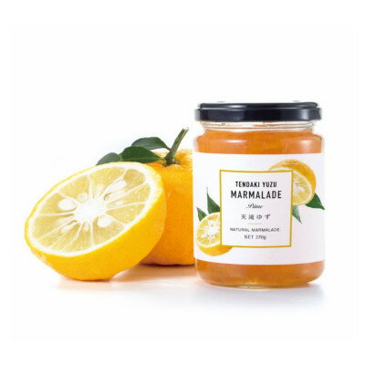 【ふるさと納税】天滝ゆずのマーマレード(2本セット)【1356641】