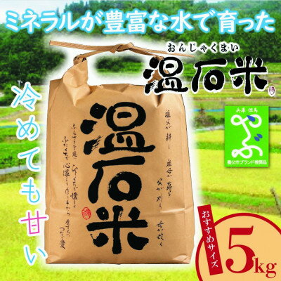 【ふるさと納税】甘くて、冷めても美味しい「温石米」5kg(2023年収穫米)【1363254】