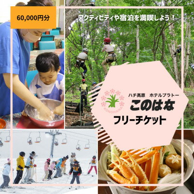 【宿泊や体験などに使える】このはなフリーチケット60,000円分【1373803】