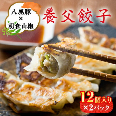 養父餃子(要冷凍/12個入り)×2パック[配送不可地域:離島]