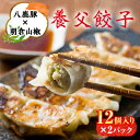 【ふるさと納税】養父餃子(要冷凍/12個入り)×2パック【配送不可地域：離島】【1418071】