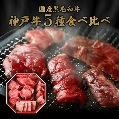 【ふるさと納税】和牛セレブの神戸牛5種の希少部位焼肉食べ比べ 350g【配送不可地域：離島】【1436435】 f282227-yabu-10000472 兵庫県養父市 サンプル画像2
