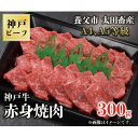 神戸牛 【ふるさと納税】神戸牛　赤身焼肉　300g【配送不可地域：離島】【1441634】