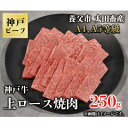 神戸牛 【ふるさと納税】神戸牛　上ロース焼肉　250g【配送不可地域：離島】【1441999】