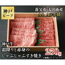 24位! 口コミ数「0件」評価「0」神戸牛　霜降りと赤身のしゃぶしゃぶすき焼き　250g【配送不可地域：離島】【1443131】