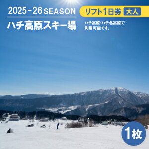 【ふるさと納税】ハチ高原スキー場【全日】リフト1日利用券 大人1名・1枚(ハチ北高原でもご利用可能!)【1445589】
