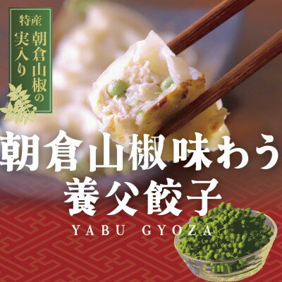 [山椒の実入り]養父餃子Premium(要冷凍/12個入り)×2パック[配送不可地域:離島]