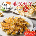 【ふるさと納税】【特産品・八鹿豚×朝倉山椒がコラボ】養父餃子食べ比べセット(冷凍24個)/12個入り1パック×2【配送不可地域：離島】【1476004】