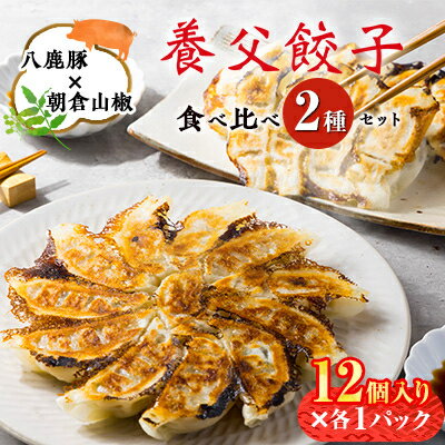 【特産品・八鹿豚×朝倉山椒がコラボ】養父餃子食べ比べセット(冷凍24個)/12個入り1パック×2【配送不可地域：離島】【1476004】