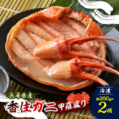 香住ガニ 甲羅盛り 約250g×2個[配送不可地域:離島]