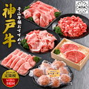 【ふるさと納税】【毎月定期便】平山牛舗おすすめの「神戸牛」おたのしみ全6回【配送不可地域:離島】【4056751】