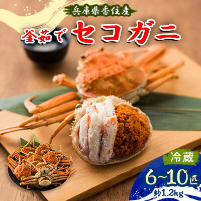 兵庫県香住産 釜茹でセコガニ6〜10匹入り(約1.2kg)[11月中旬以降発送][配送不可地域:離島・北海道・沖縄県・東北・関東・九州]