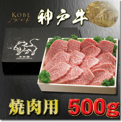 神戸牛 焼き肉用 かた・もも 500g YBY2 [2026年4月より順次発送][配送不可地域:離島]