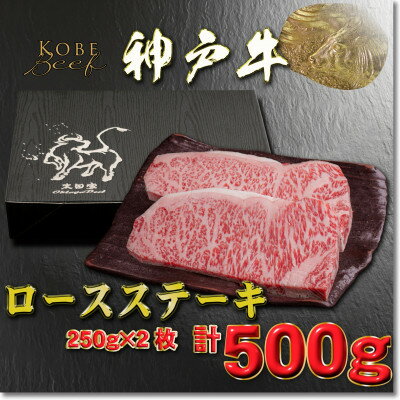 神戸牛 ロースステーキ 250g×2枚 計500g YBST5 [2026年4月より順次発送][配送不可地域:離島]
