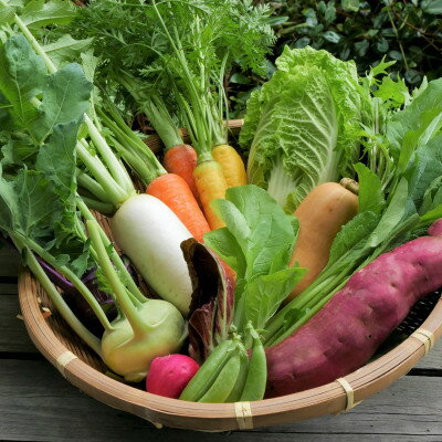 【ふるさと納税】【発送月固定定期便】【6〜12月】但馬の旬をお届け!採れたて野菜セット全7回【配送不可地域:離島】【4075870】