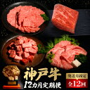 【ふるさと納税】【発送月固定定期便】神戸牛12か月定期便全12回【配送不可地域:離島】【4064677】