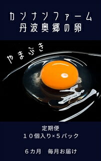 【ふるさと納税】【6ヶ月定期便】丹波奥郷の卵 やまぶき 45個+5個破卵補償 (約3kg)