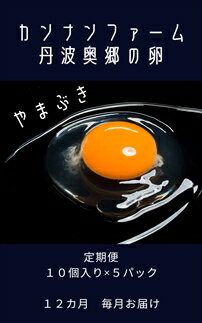 【ふるさと納税】【12ヶ月定期便】丹波奥郷の卵　やまぶき　45個+5個破卵補償　(約3kg）