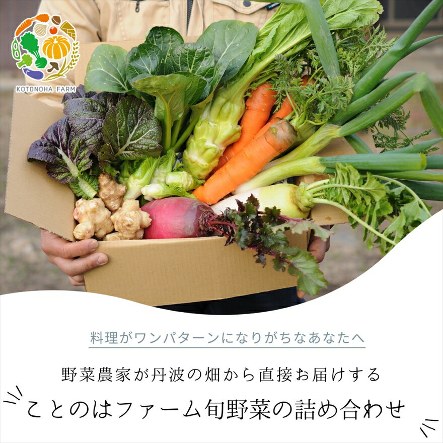 【ふるさと納税】ことのはファーム旬野菜の詰め合わせ