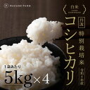 7位! 口コミ数「0件」評価「0」精米丹波コシヒカリ 特栽20kg