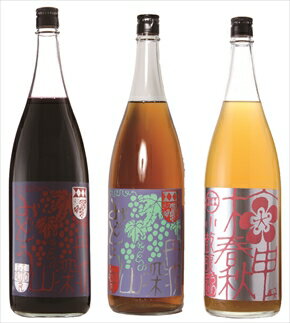 小鼓リキュール1800ml×3種セット