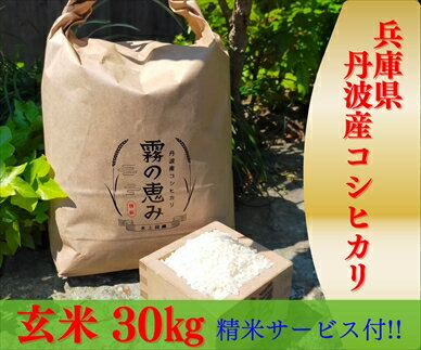 【ふるさと納税】丹波産コシヒカリ玄米30kg