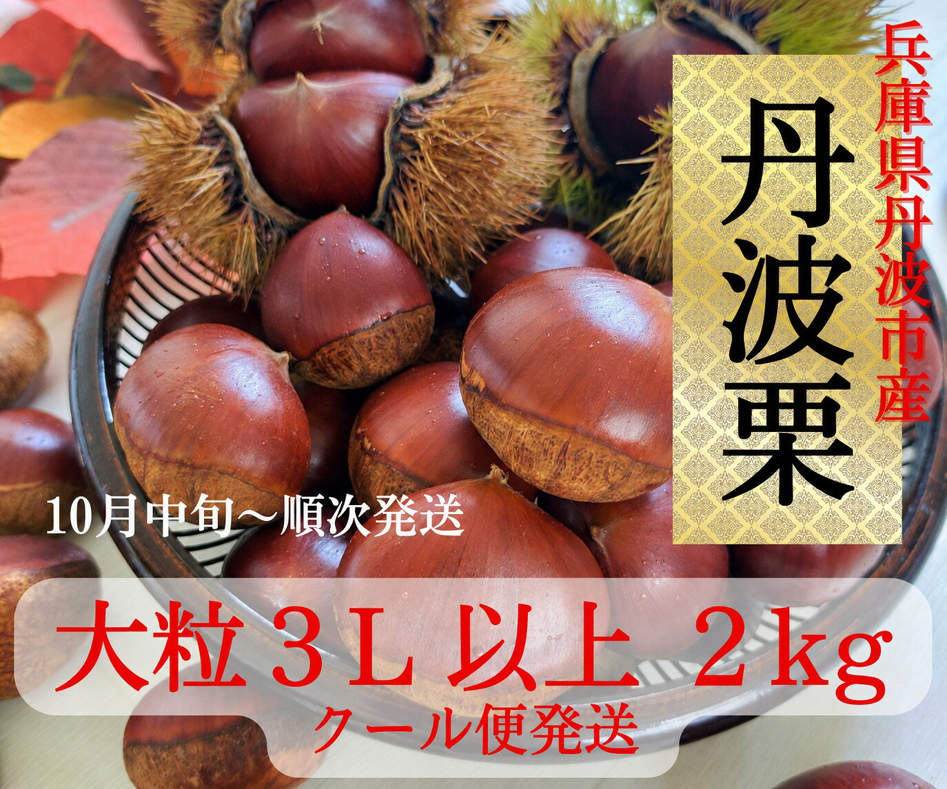 【ふるさと納税】丹波栗 3L以上 2kg 先行予約 超大粒 生栗 国産 ブランド栗 最高級 たんばぐり くり クリ 秋の味覚 栗ご飯 渋皮煮 モンブラン お取り寄せ 兵庫県 丹波市