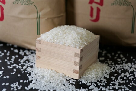 特別栽培米 白米 5kg x 1袋