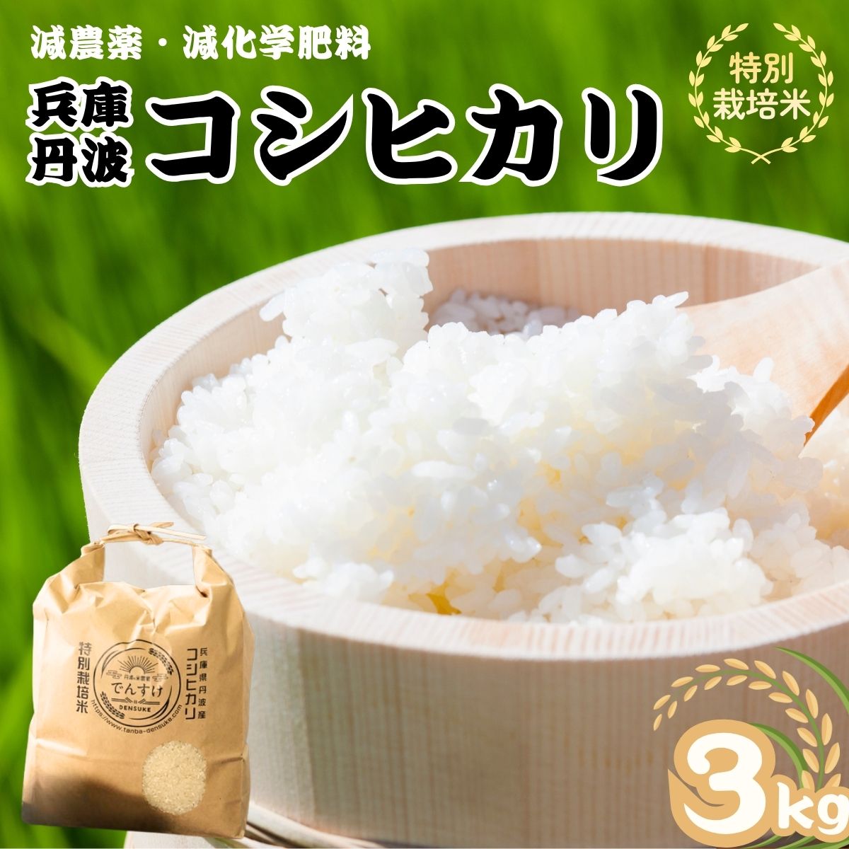 特別栽培米 丹波コシヒカリ 3kg 令和7年産 精米 ブランド米 こしひかり お米 白米 ごはん 米 3キロ 一等米 減農薬 産地直送 お取り寄せ 兵庫県 丹波市