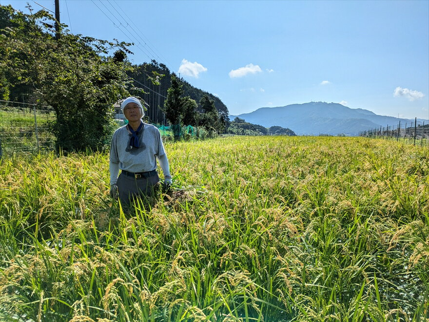 【ふるさと納税】有機JAS認定・丹波市産コシヒカリ 3kg