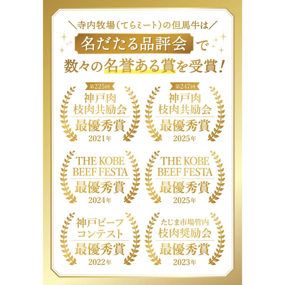 【ふるさと納税】てらミート特製 但馬牛ミートコロッケ 1個100g 10個入り 冷凍 揚...