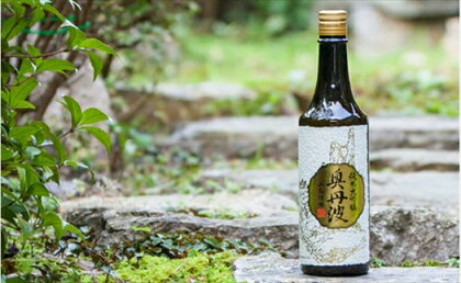 ふるさと納税 日本酒 純米大吟醸 奥丹波 720ml