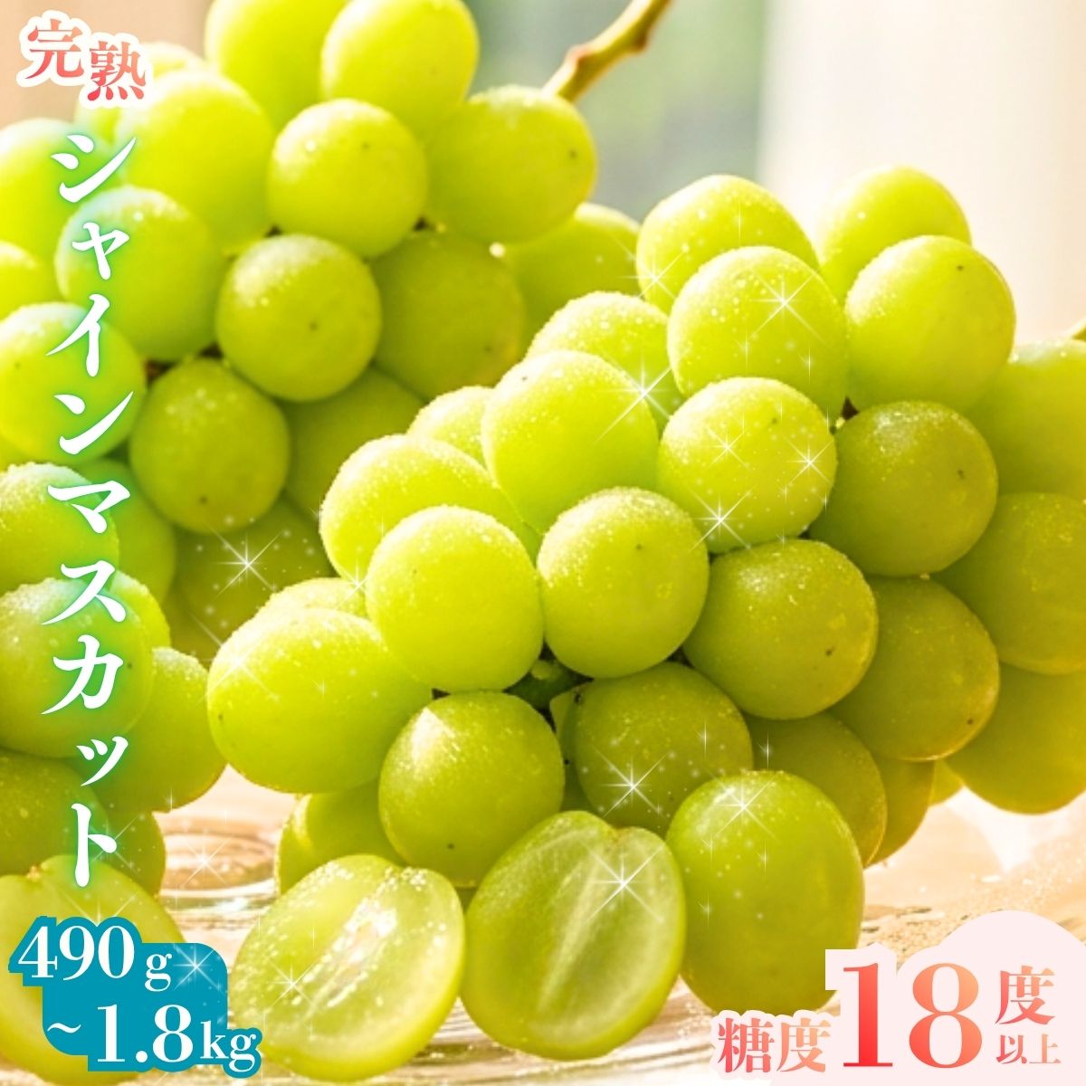 糖度18度以上[完熟シャインマスカット]490g〜1.8kg 兵庫県丹波市産 9月上旬発送 ぶどう マスカット フルーツ 果物 贈り物 ギフト