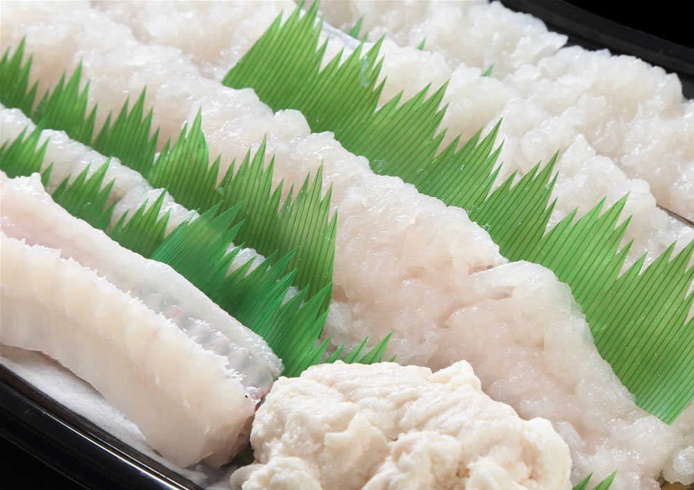 【ふるさと納税】［南あわじのハモ］南あわじ産 活き鱧＜特大サイズ＞だし付きでお届け！