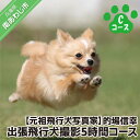 【ふるさと納税】Cコース 元祖飛行犬写真家 的場信幸 出張飛行犬撮影5時間コース