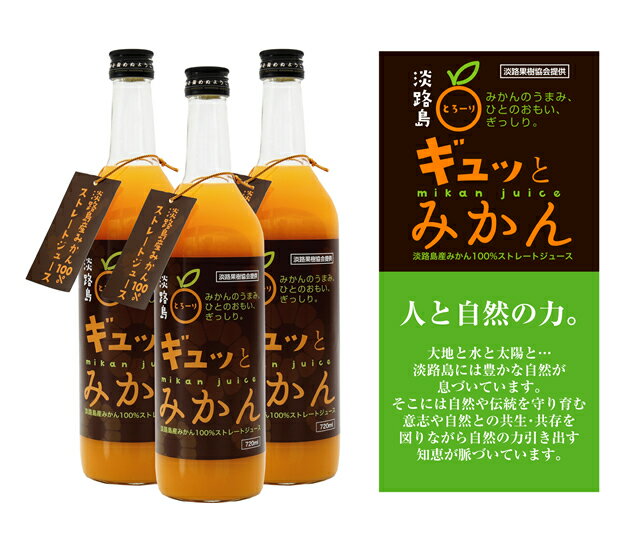 【ふるさと納税】淡路島ギュッとみかん　720mL（12本入り）