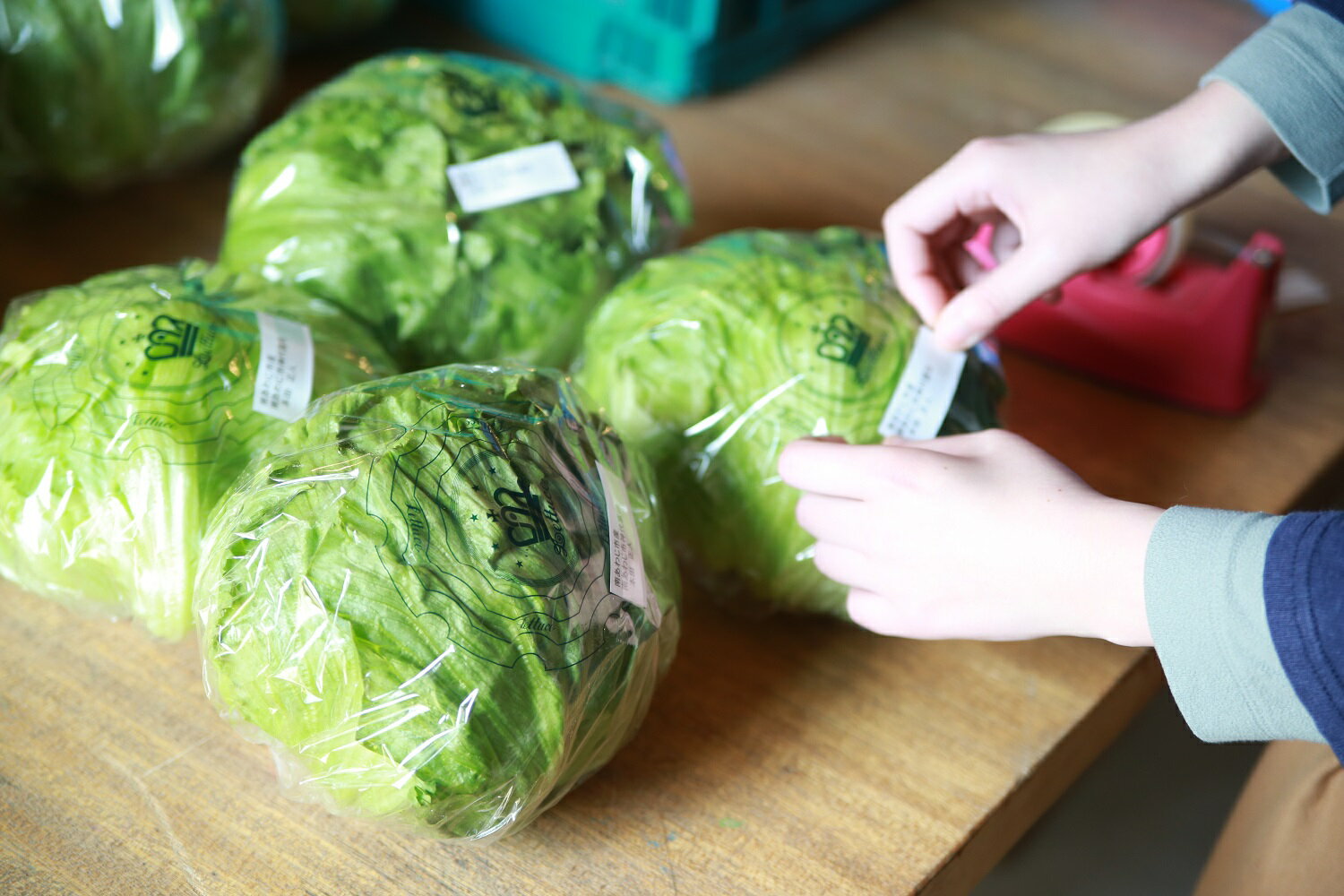 【ふるさと納税】【定期便】「島のめぐみ」セット～南あわじ旬の食材～【6回コース】 3