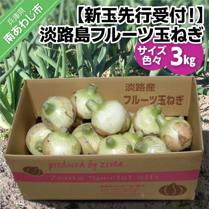 4位! 口コミ数「66件」評価「3.56」【新玉予約・サイズ色々】 ふるさと納税 おすすめ 淡路島フルーツ玉ねぎ3kg