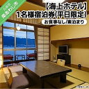 【ふるさと納税】 ふるさと納税 旅行 宿泊券 淡路島海上ホテル1名様宿泊券 お食事なし素泊まり(平日限定)