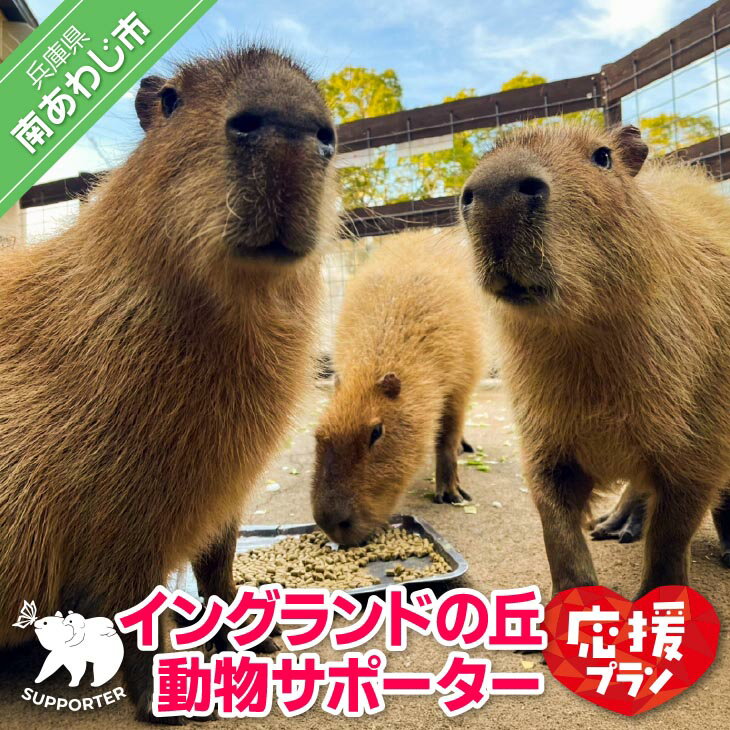 [イングランドの丘]動物サポーター[応援プラン]