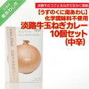 20位! 口コミ数「0件」評価「0」化学調味料不使用【淡路牛玉ねぎカレー（中辛）】10個セット