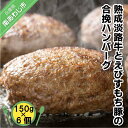 【ふるさと納税】熟成淡路牛とえびすもち豚の合挽ハンバーグ(150g×6個セット)(4)