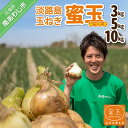 81位! 口コミ数「2件」評価「5」蜜玉(みつたま)【3kg・5kg・10kg】 淡路島玉ねぎ(有機肥料100%)