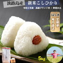 29位! 口コミ数「0件」評価「0」【12回定期便】mamayasai コシヒカリ5kg